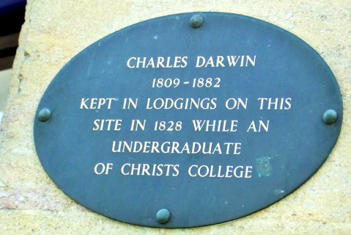 Plaque on Boots, Sidney Street