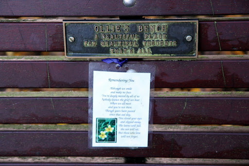 Ollie's Bench, Memorial Bench Whitewebbs Park, Enfield