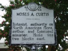 MOSES A. CURTIS
