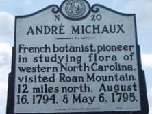 ANDRE MICHAUX