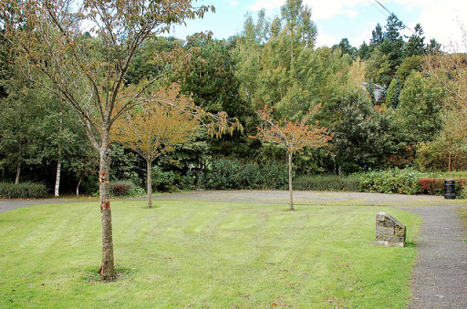 D-Day commemorative trees, Innerleithen