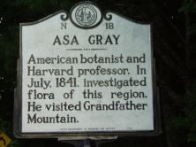 ASA GRAY
