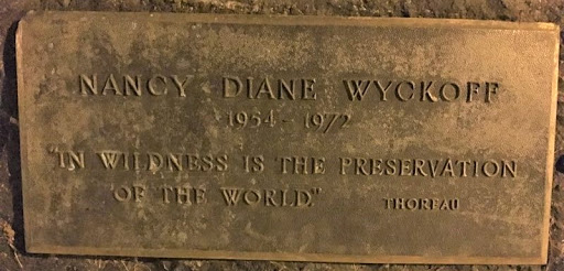 Nancy Diane Wyckoff Memorial Tree