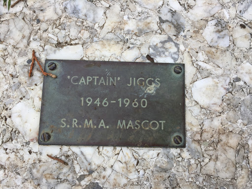 "CAPTAIN' JIGGS