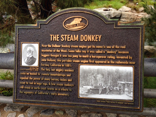 The Steam Donkey