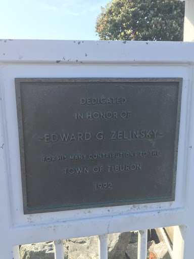 Edward G. Zelinsky