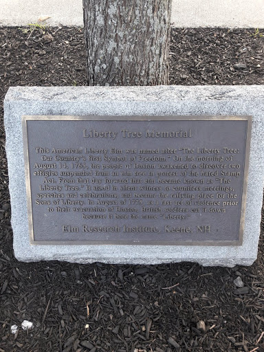Liberty Tree Memorial
