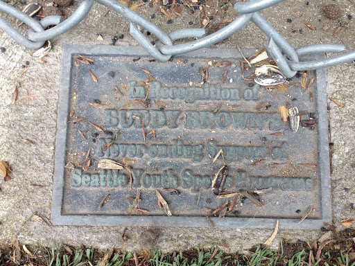 Buddy Brown