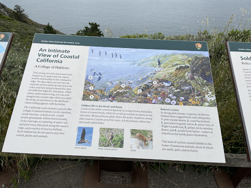 An Intimate View of Coastal California