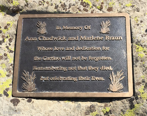 In memory of Ann Cadwick and Marlene Braun