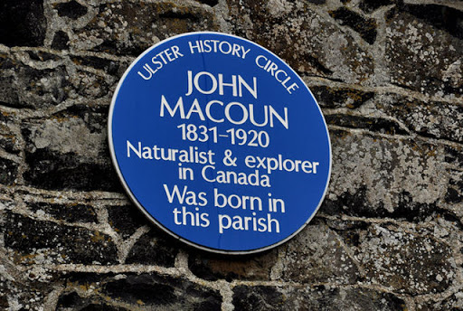 John Macoun plaque, Magheralin