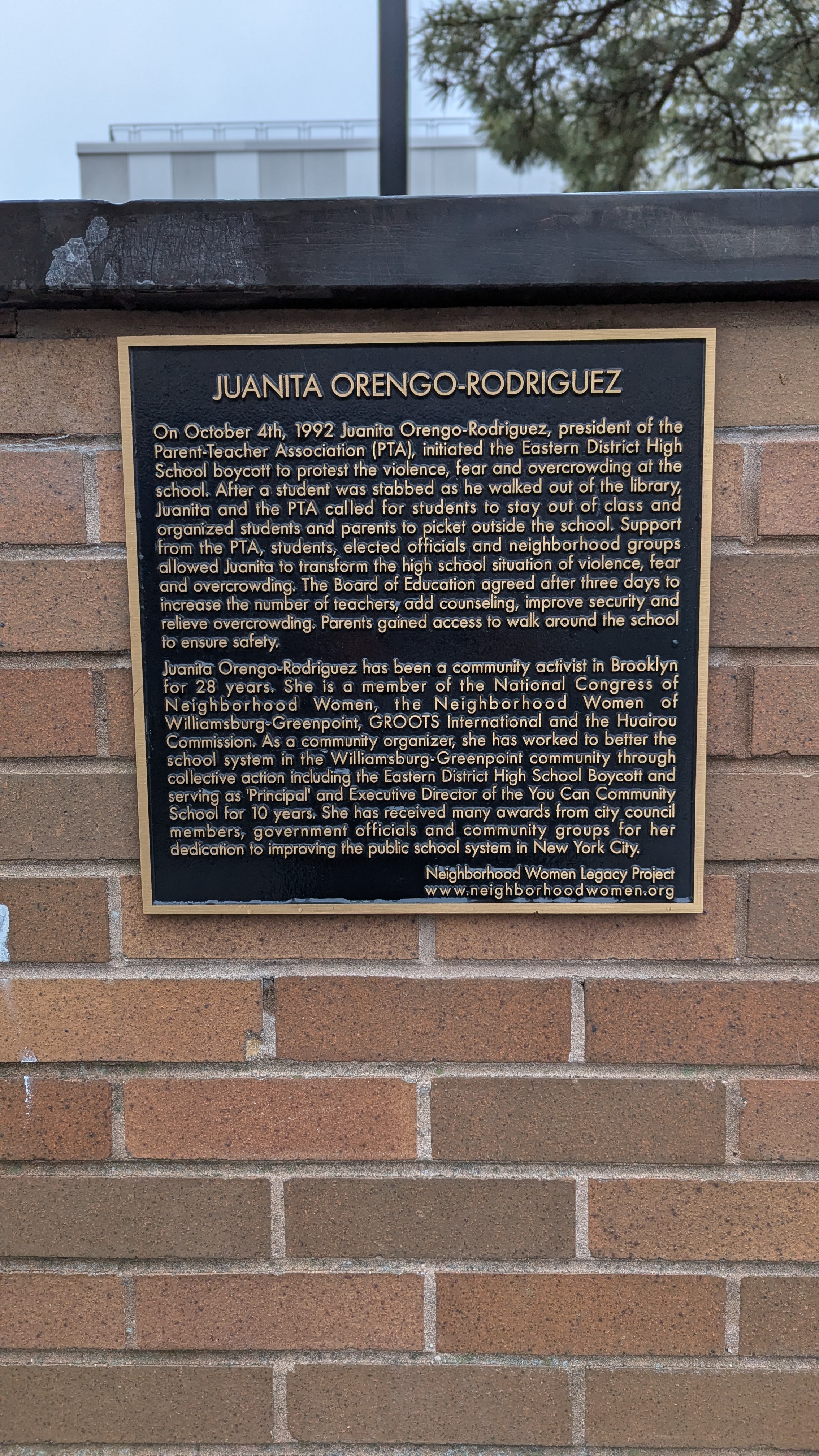 Juanita Orengo-Rodriguez
