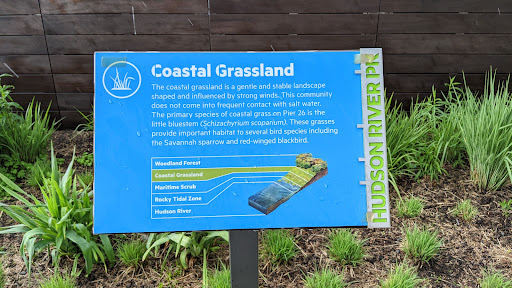Coastal Grassland