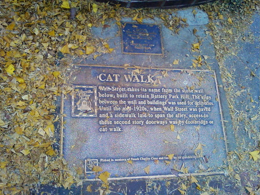Cat Walk