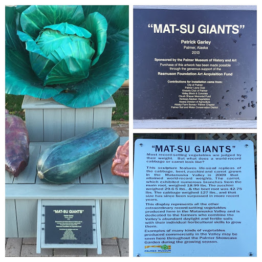 Mat-su Giants