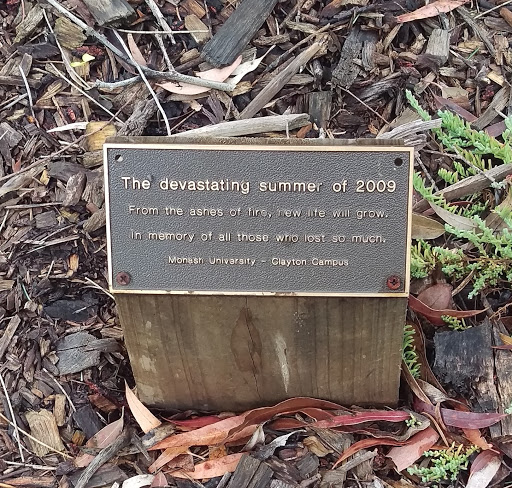 2009 Bush Fires