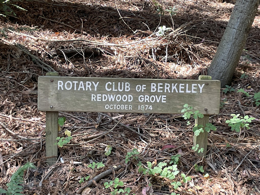 Rotary Club of Berkeley Redwood Grove