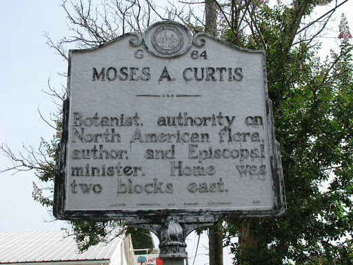 Moses A. Curtis