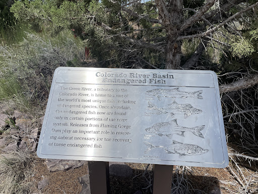Colorado River Basin Endangered Fish