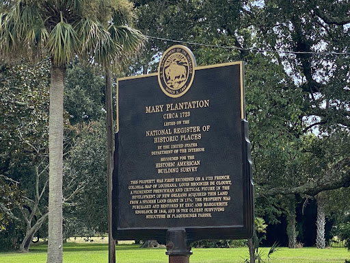 Mary Plantation