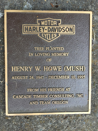 Henry W. Howe (Mush)