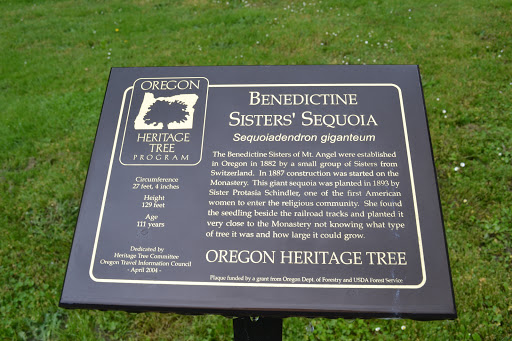 Benedictine Sisters' Sequoia