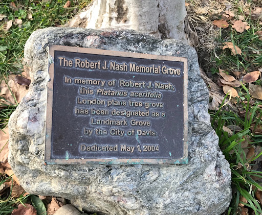 The Robert J. Nash Memorial Grove