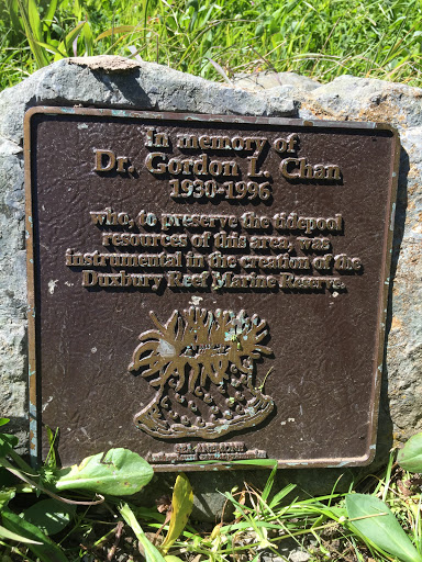 Dr. Gordon L. Chan
