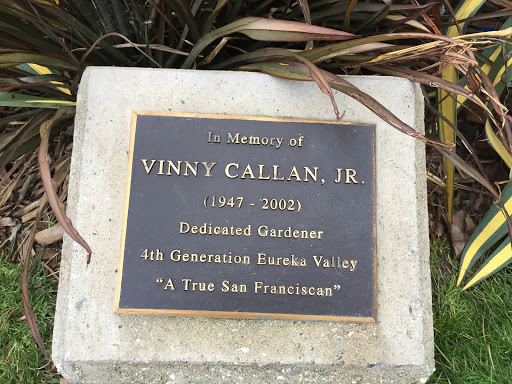 Vinny Callan, Jr.