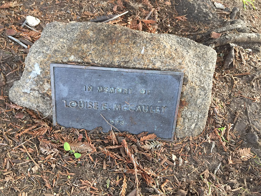 In Memory of Louise E. McCaully 1978