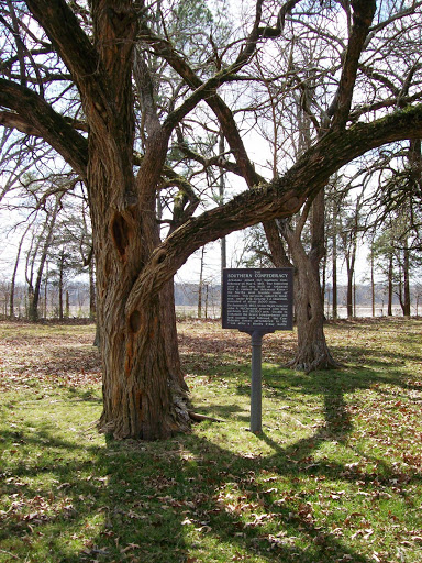 The Southern Confederacy