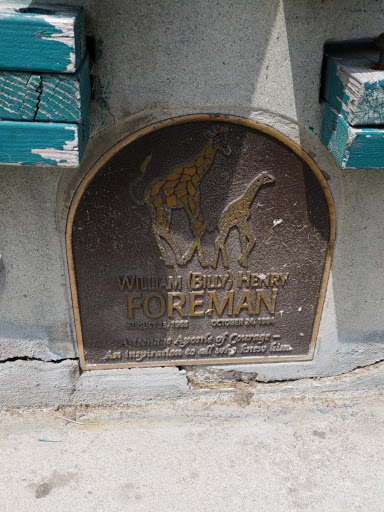 William (Billy) Henry Foreman