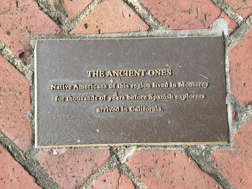 The Ancient Ones