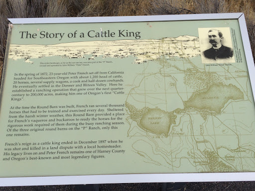 The Story of a Cattle King