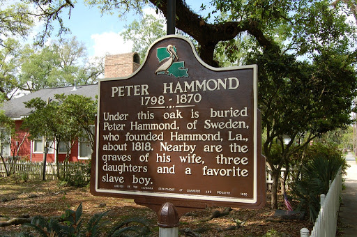 Peter Hammond (1798-1870)