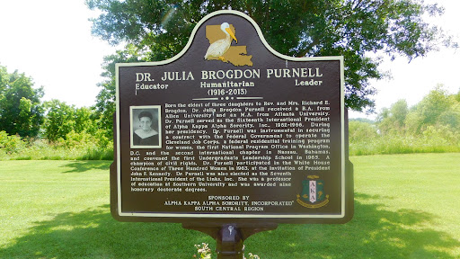 Dr. Julia Brogdon Purnell