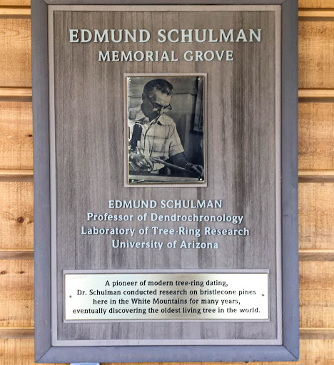 Edmund Schulman Memorial Grove