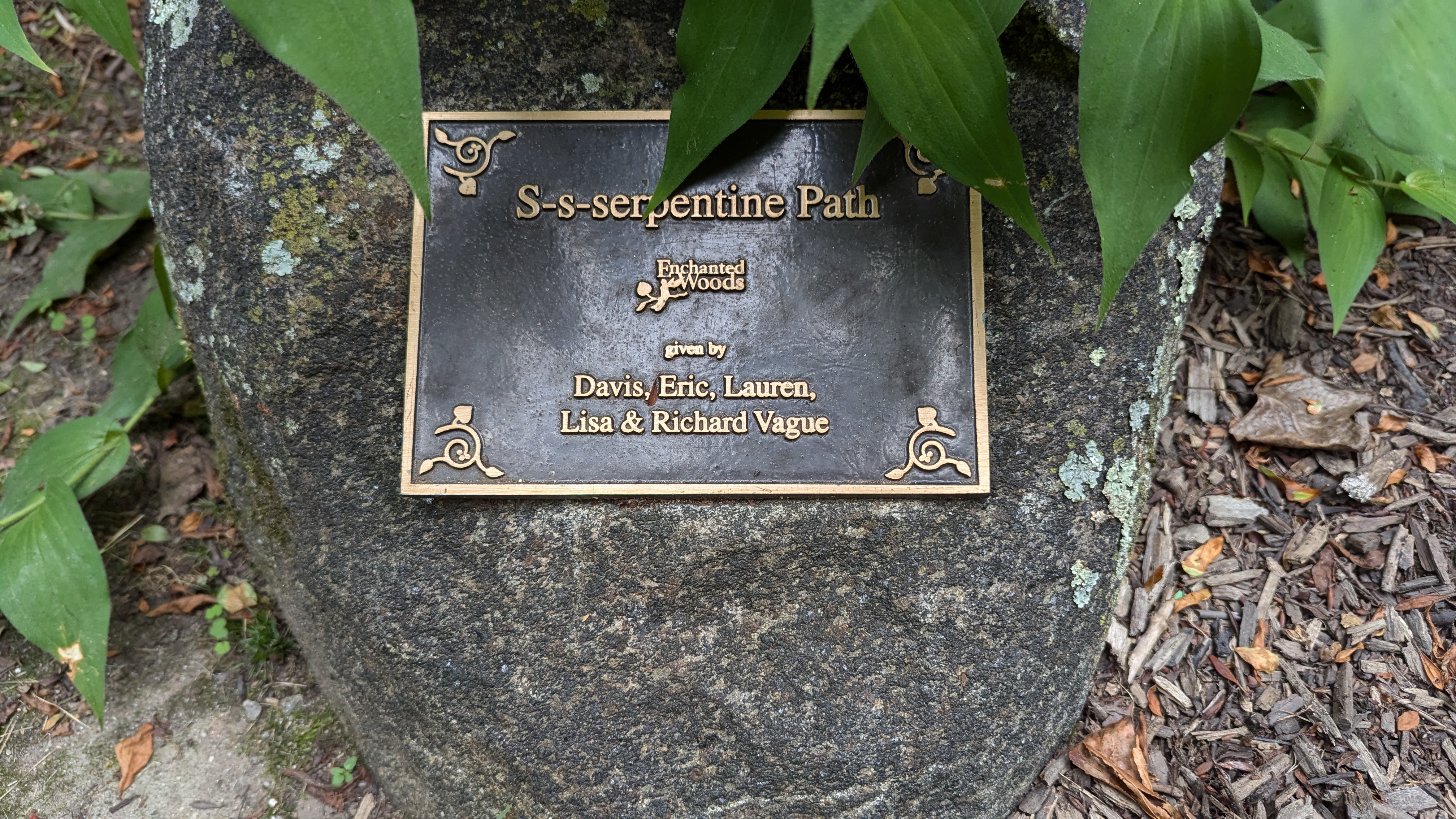 S-s-serpentine Path