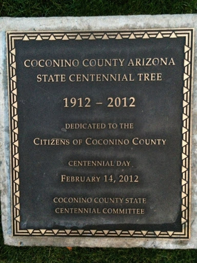 Coconino County Arizona State Centennial Tree