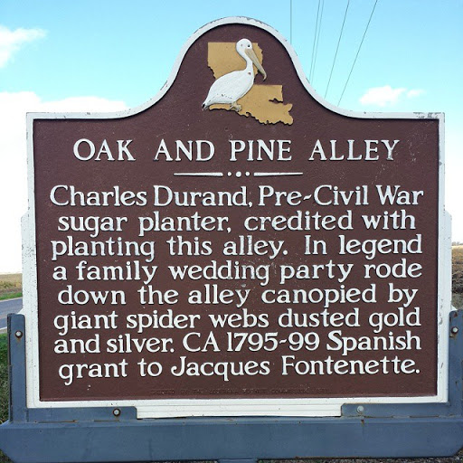 Oak and Pine Alley