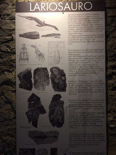Lariosauro