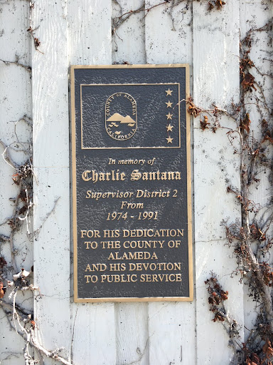 Charlie Santana