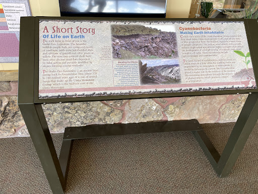 A Short Story of Life on Earth