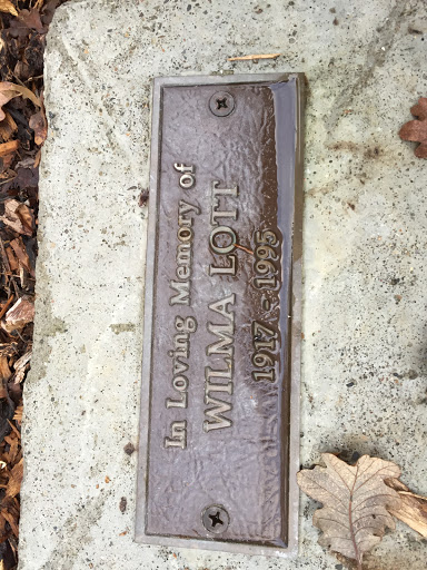 Wilma Lott