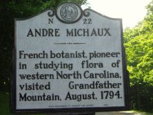 ANDRE MICHAUX