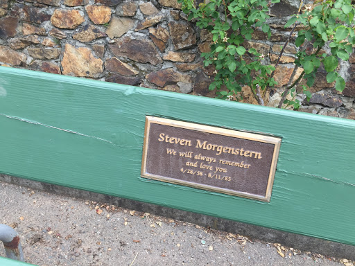 Steven Morgenstern