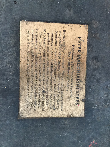 PETER MACCHIARINI STEPS