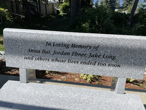 In Loving Memory of Anna Bui, Jordan Ebner, Jake Long, and other whose lives ended too soon