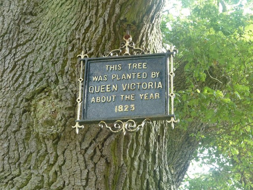 Ashridge House - Victorian plaque attached to tree