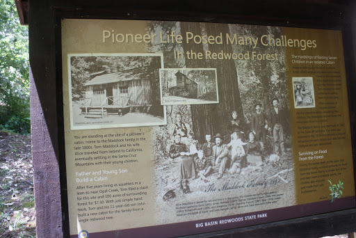 Pioneer Life Posed Many Challenges in the Redwood Forest